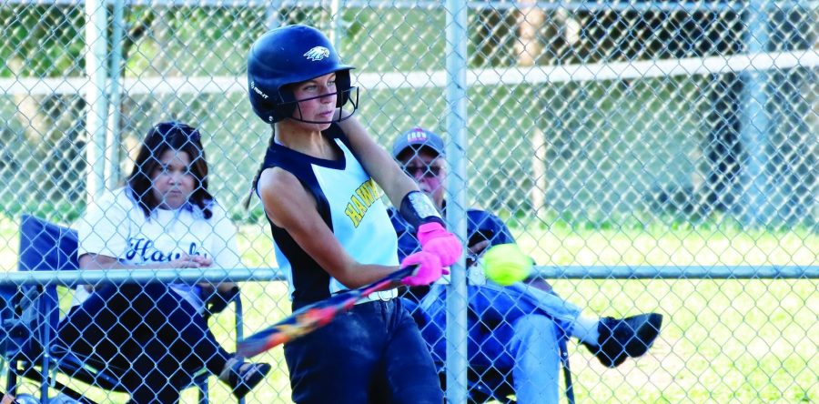 Hawks run rule EV in Bear country