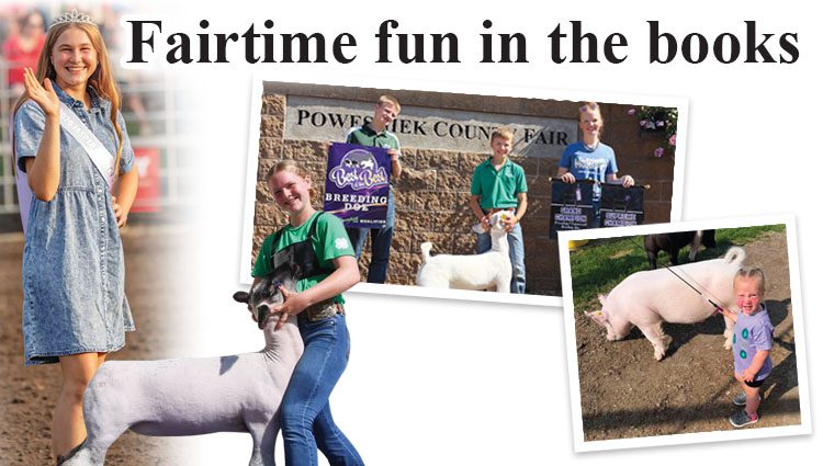 Fairtime fun in the books