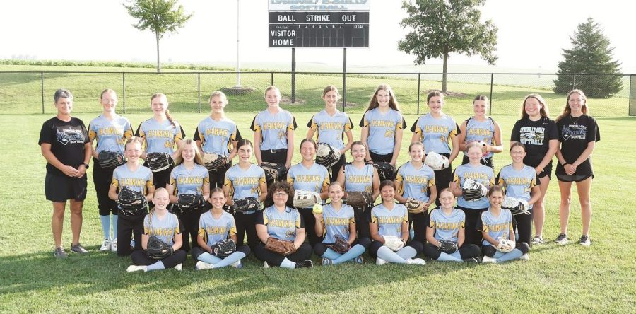 Junior high baseball and softball seasons in the books for L-S Hawks