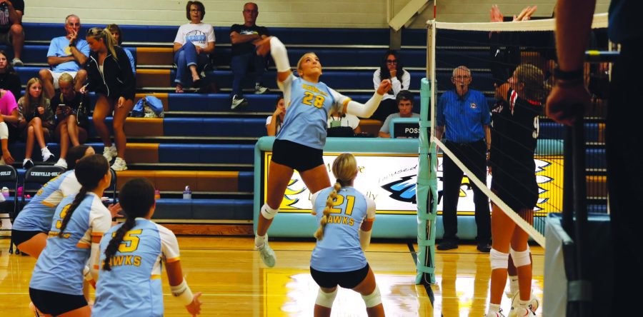 Hawks pick up three wins in opening week of volleyball