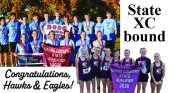 Hawks, Eagles countdown to State XC